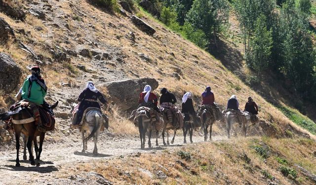 Vanlı Kadınların Hayatta Kalma Mücadelesi: Zorlu Yolculuk ve Efsanevi Dayanıklılık!