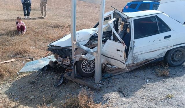 Van'da kontrolden çıkan otomobil elektrik direğine çarptı: 1 yaralı