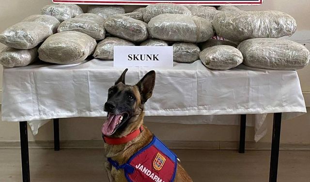 Van'da 28 kilo 574 gram uyuşturucu ele geçirildi