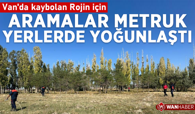 Van'da kaybolan Rojin için aramalar metruk yerlerde yoğunlaştı