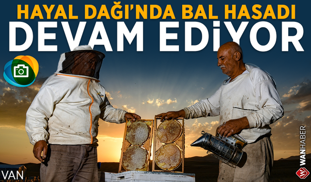 Hayal Dağı'nda bal hasadı devam ediyor