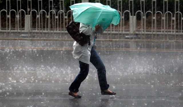 Meteoroloji Van’ın 5 ilçesini uyardı