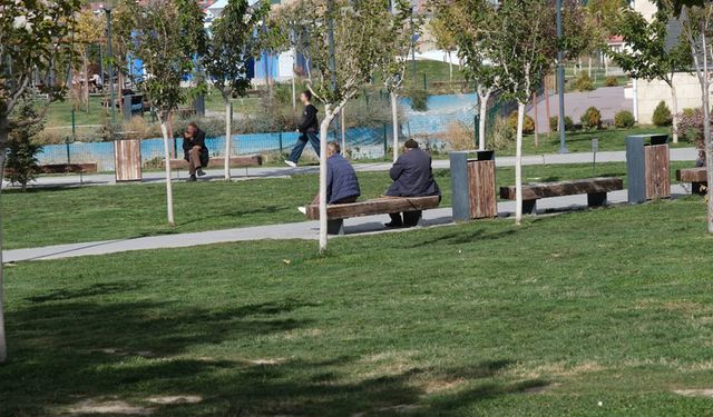 Van'da güneşli hava fırsata çevrildi