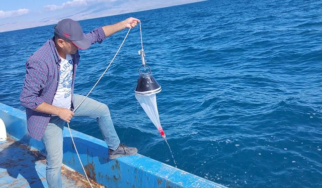 Van Gölü tarandı; inci kefali stoku azalıyor