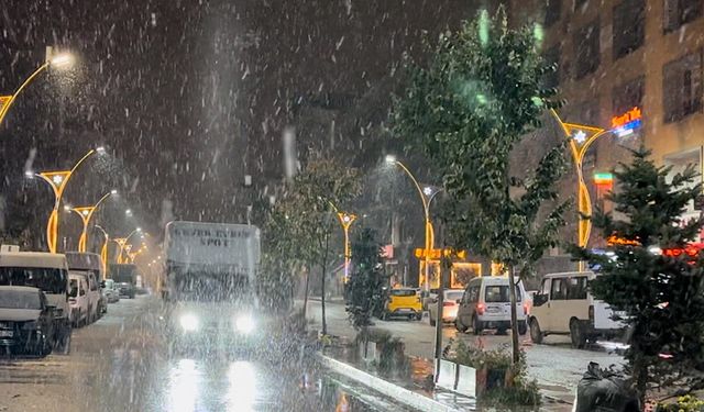 Yüksekova'ya kış erken geldi: Lapa lapa kar yağışı başladı