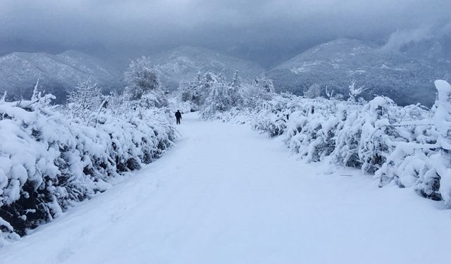 Van için kar yağışı uyarısı!