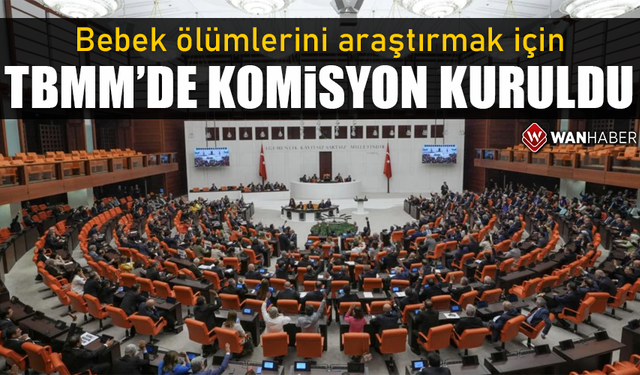 Bebek ölümlerini araştırmak için TBMM'de komisyon kuruldu