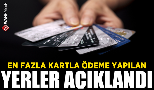 En fazla kartlı ödeme yapılan yerler açıklandı! Yüzde 29'u internetten yapıldı