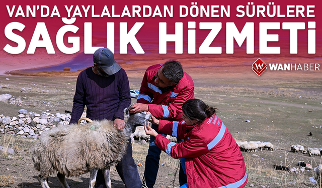 Van'da yaylalardan dönen sürülere sağlık hizmeti