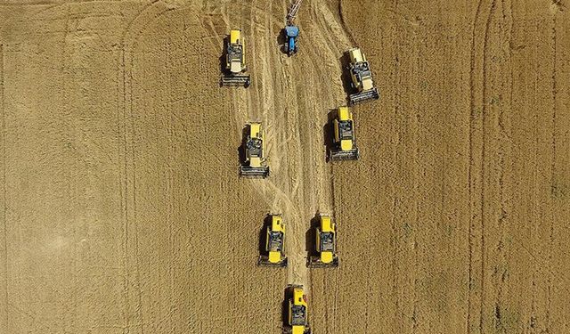 Tarım sektöründen ihracatta ocak-eylül rekoru