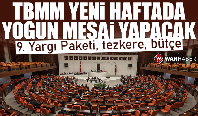 TBMM'de yoğun hafta: 9. Yargı Paketi, tezkere, bütçe