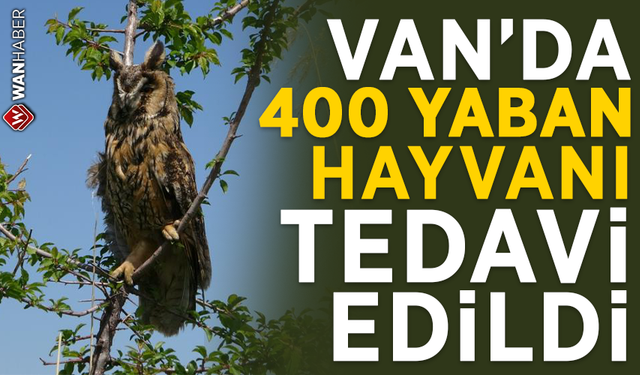 Van'da 400 yaban hayvanı tedavi edildi