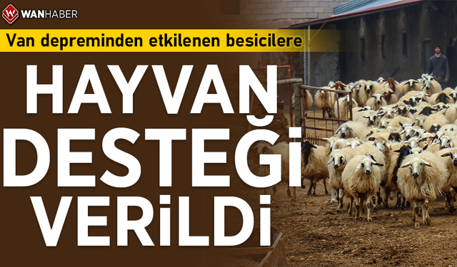 Van depreminden etkilenen besicilere hayvan desteği verildi