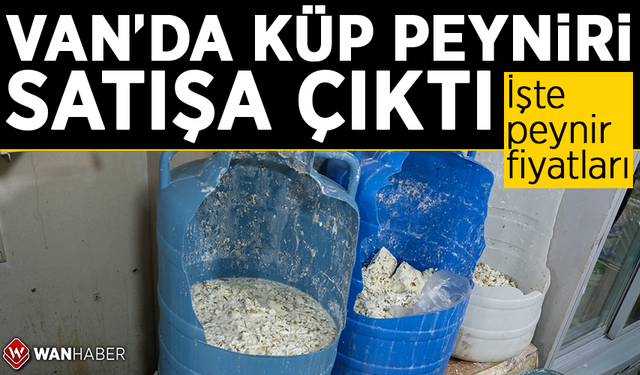 Van’da küp peyniri satışa çıktı! İşte peynir fiyatları