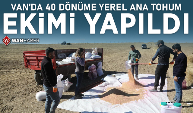 Van’da 40 dönüme yerel ana tohum ekimi yapıldı