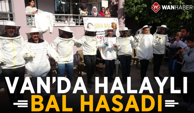 Van'da halaylı bal hasadı