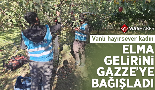 Vanlı hayırsever kadın, elma gelirini Gazze'ye bağışladı