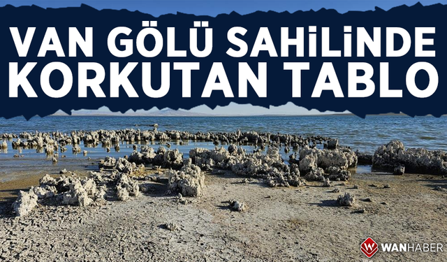 Van Gölü sahilinde korkutan tablo