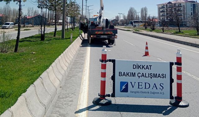 TEDAŞ, aydınlatma denetimi yapacak