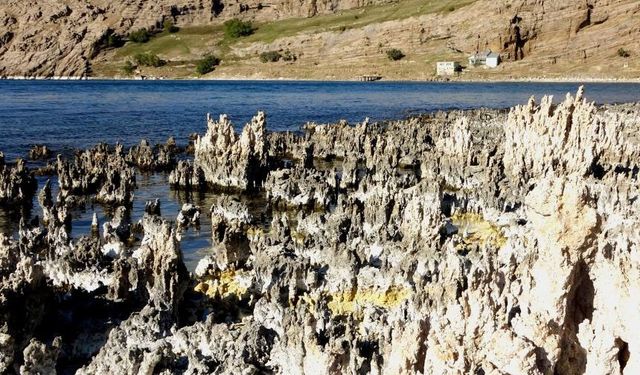 Van Gölü her geçen yıl biraz daha çekiliyor