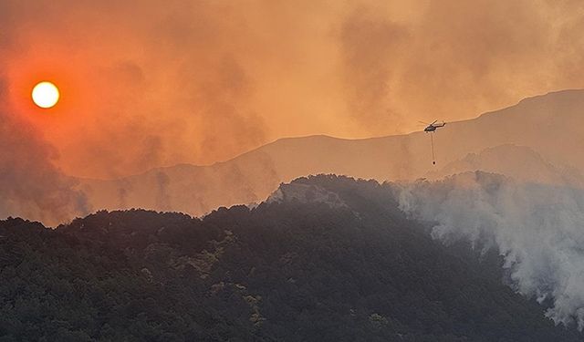 Denizli'deki orman yangınına müdahale sürüyor