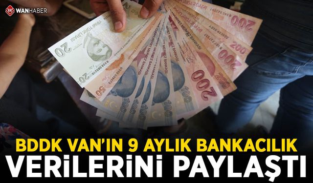 BDDK Van’ın 9 aylık bankacılık verilerini paylaştı