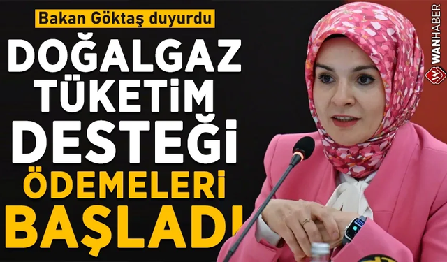 Doğal Gaz Tüketim Desteği kış dönemi ödemeleri başladı