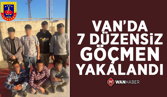 Van'da 7 düzensiz göçmen yakalandı