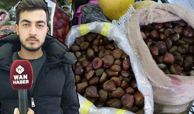 Van’da tezgâhlardaki yerini aldı! Kilo fiyatı 250 TL