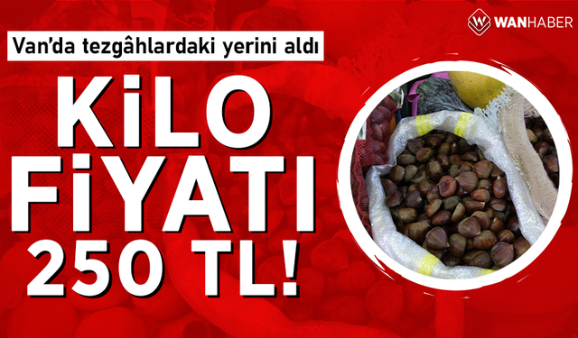 Van’da tezgâhlardaki yerini aldı! Kilo fiyatı 250 TL