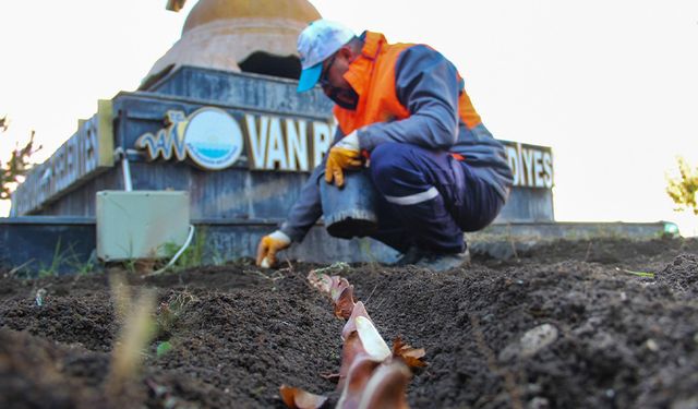 Van’da 55 bin lale soğanı toprakla buluşturuldu