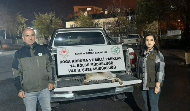 Van'da yasadışı avlanan şahsa 11 bin lira caza