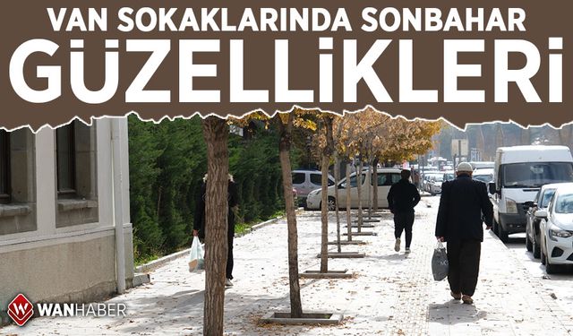 Van sokaklarında sonbahar güzellikleri