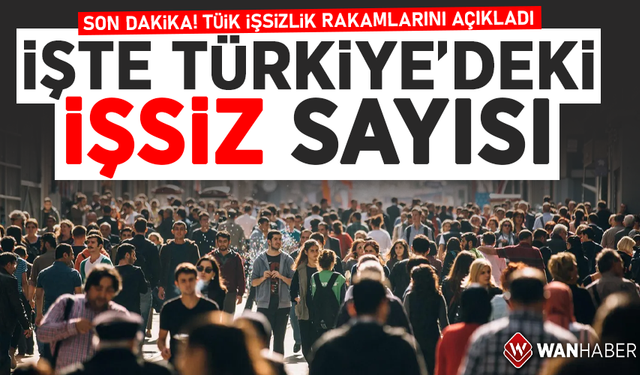 SON DAKİKA! TÜİK işsizlik rakamlarını açıkladı! İşte Türkiye'deki işsiz sayısı