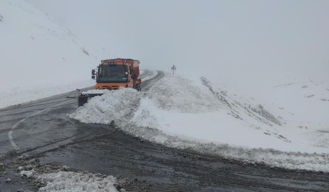 Bahçesaray'da kış çilesi erken başladı