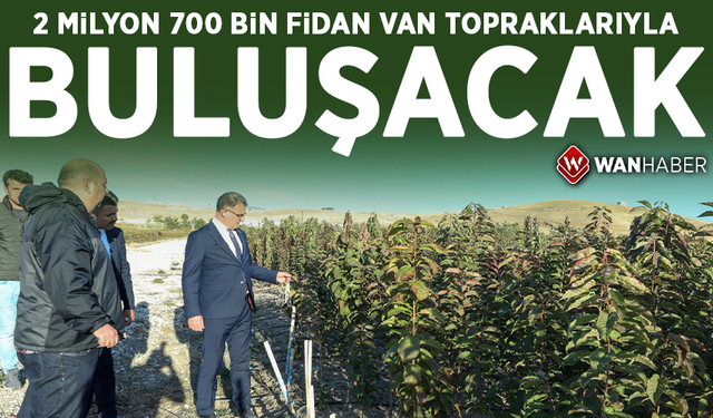 2️ milyon 700 bin fidan Van topraklarıyla buluşacak