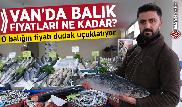 Van’da balık fiyatları ne kadar? O balığın fiyatı dudak uçuklatıyor