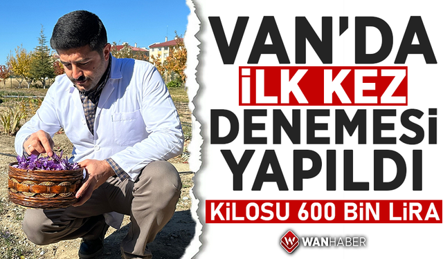 Van'da ilk kez denemesi yapıldı! Kilosu 600 bin lira