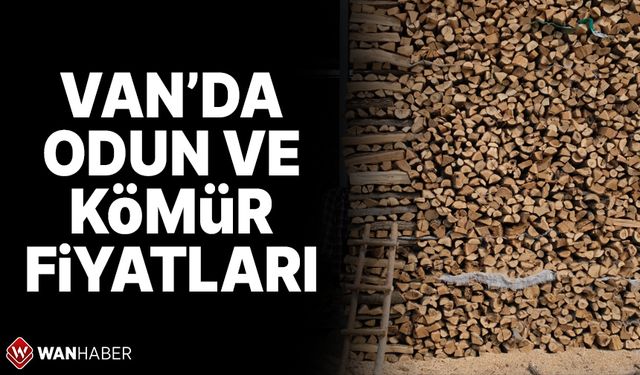 Kış kapıda! İşte Van’da odun - kömür fiyatları