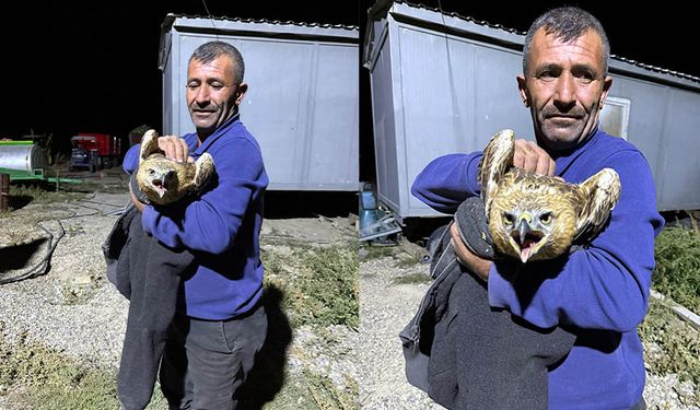 Van'da yaralı bulduğu kızıl şahini ekiplere teslim etti