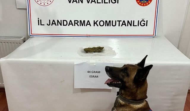 Van'da 44 gram esrar ele geçirildi