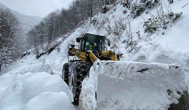 Van’da 21 yol ulaşıma kapandı