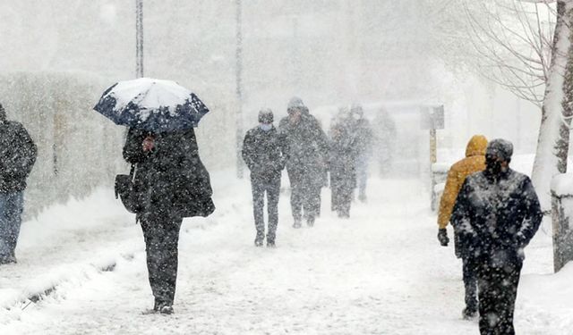 Meteoroloji Van için tarih verdi! Kar kapıda...