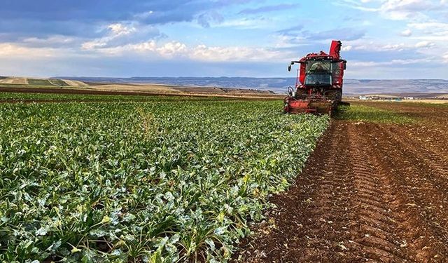 Çiftçilere uyarı: ÇKS’de başvuruyu kaçırmayın