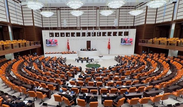 Bağımsız milletvekili sayısı, 28. Yasama Dönemi'nde zirveye çıktı