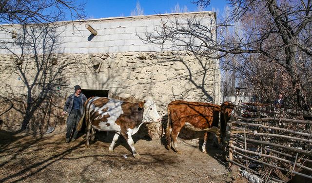 Van'da engellilere 4 milyon 383 bin lira hibe desteği verildi