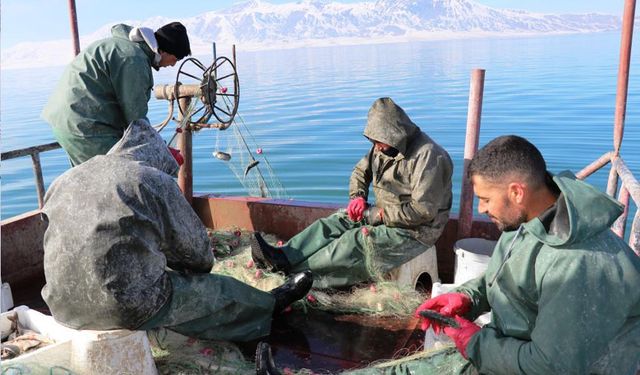 Erçek Gölü’ndeki balık popülasyonu balıkçıları sevindirdi