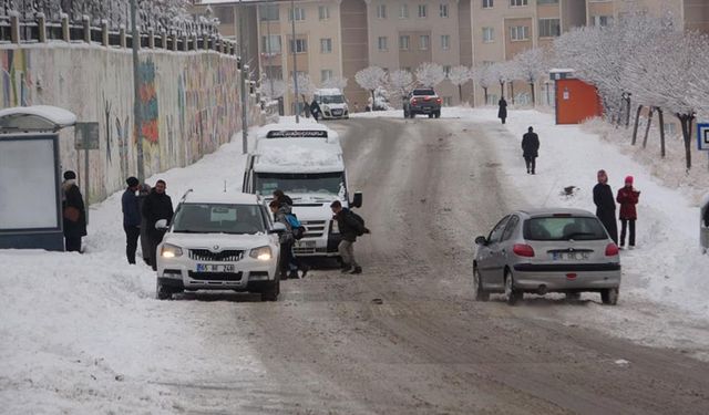 Van'da kar yağışı hayatı olumsuz etkiledi