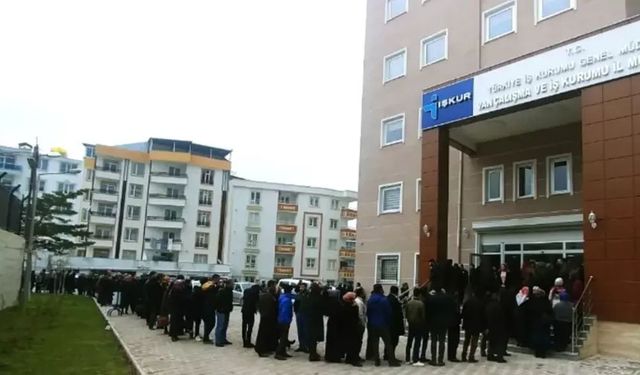 Van’da İŞKUR aracılığı ile kaç kişi işe alındı? İşte 1 yıllık rakamlar