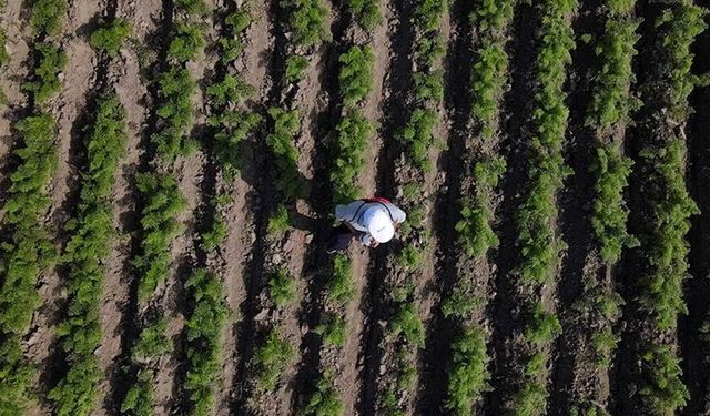 Topraktaki organik madde miktarını arttırmaları önerisi